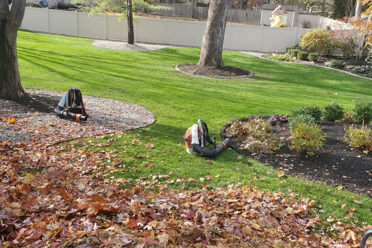 Bush & Leaf Removal