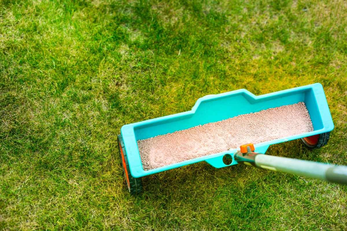 Fertilizing