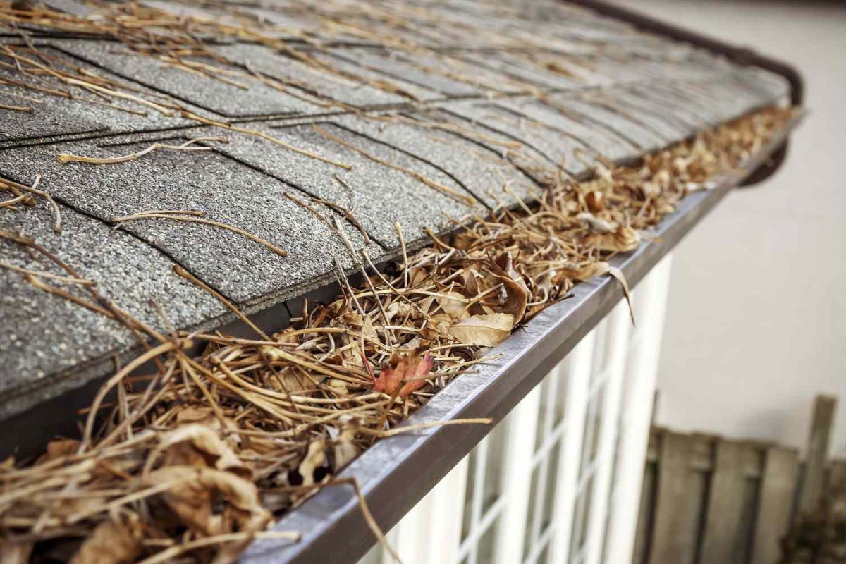 Gutter Cleaning