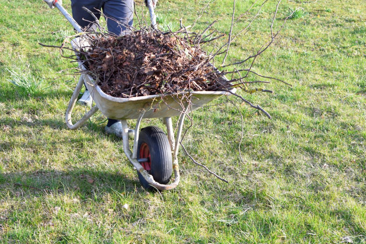 Hillside Cleanup