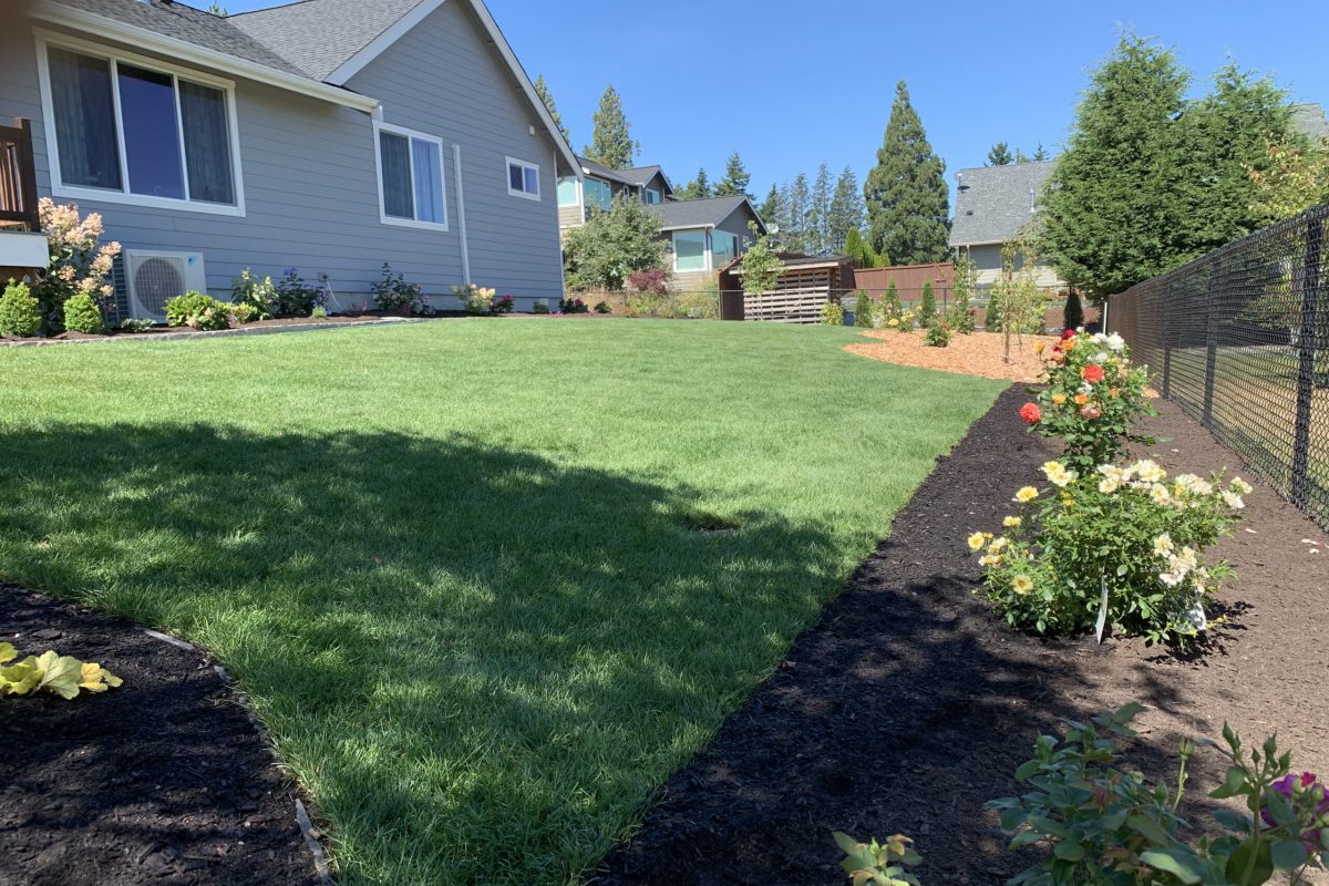 Lawn Maintenance