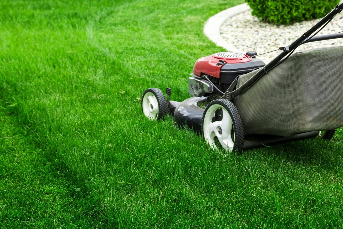 Lawn Mowing