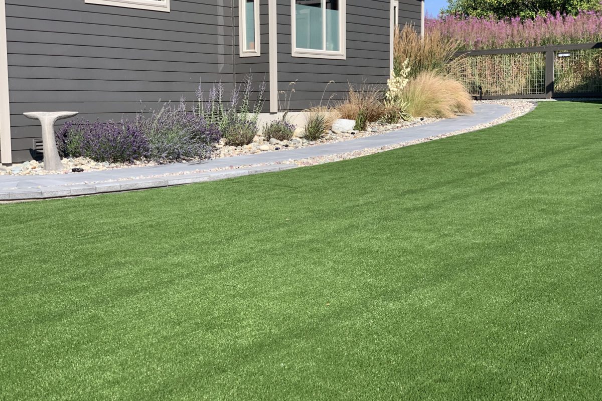 New Lawns