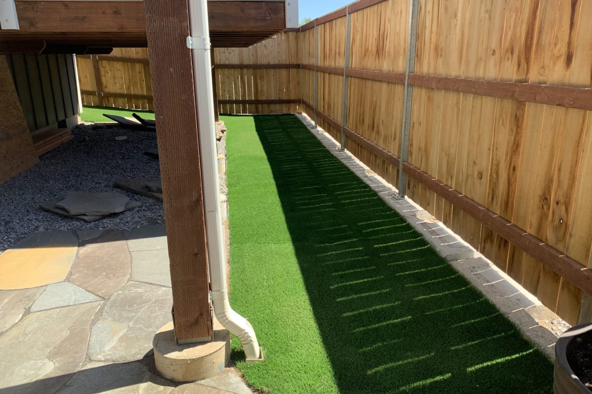New Sod or Seeding